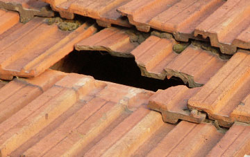 roof repair Steanbow, Somerset